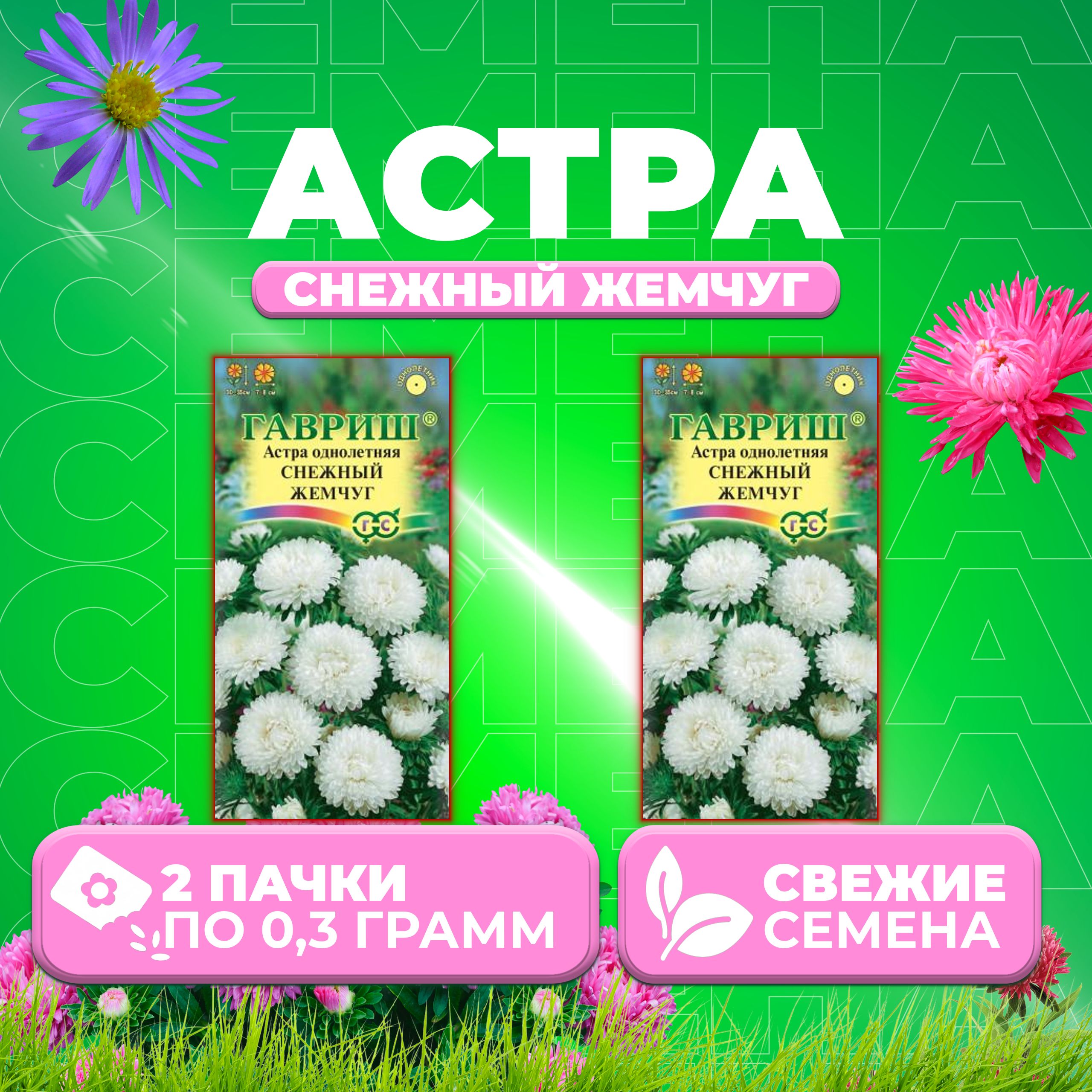 

Семена Астра Снежный жемчуг, карликовая, 0,3г, Гавриш, Цветочная коллекция (2 уп)