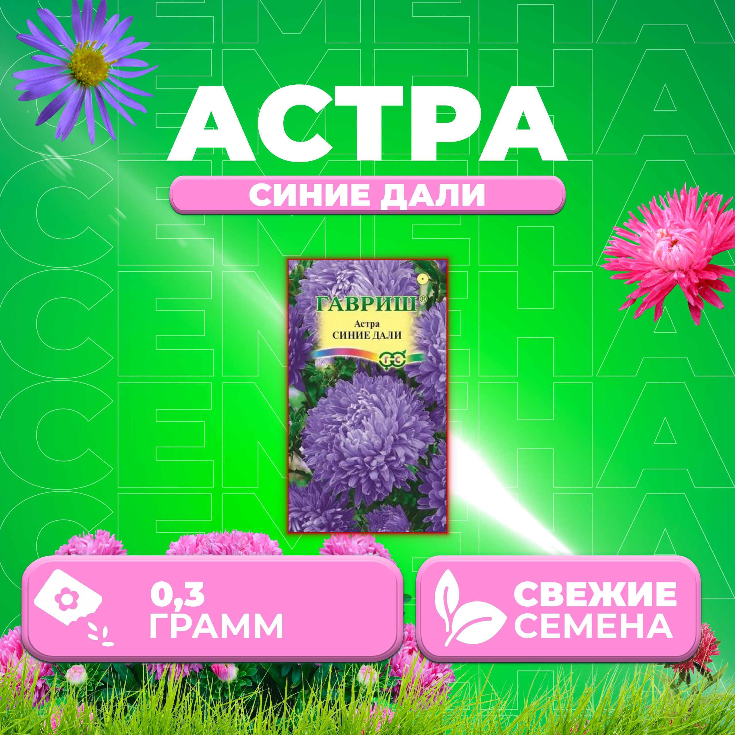 

Семена Астра Синие дали, пионовидная, 0,3г, Гавриш, Цветочная коллекция (1 уп)
