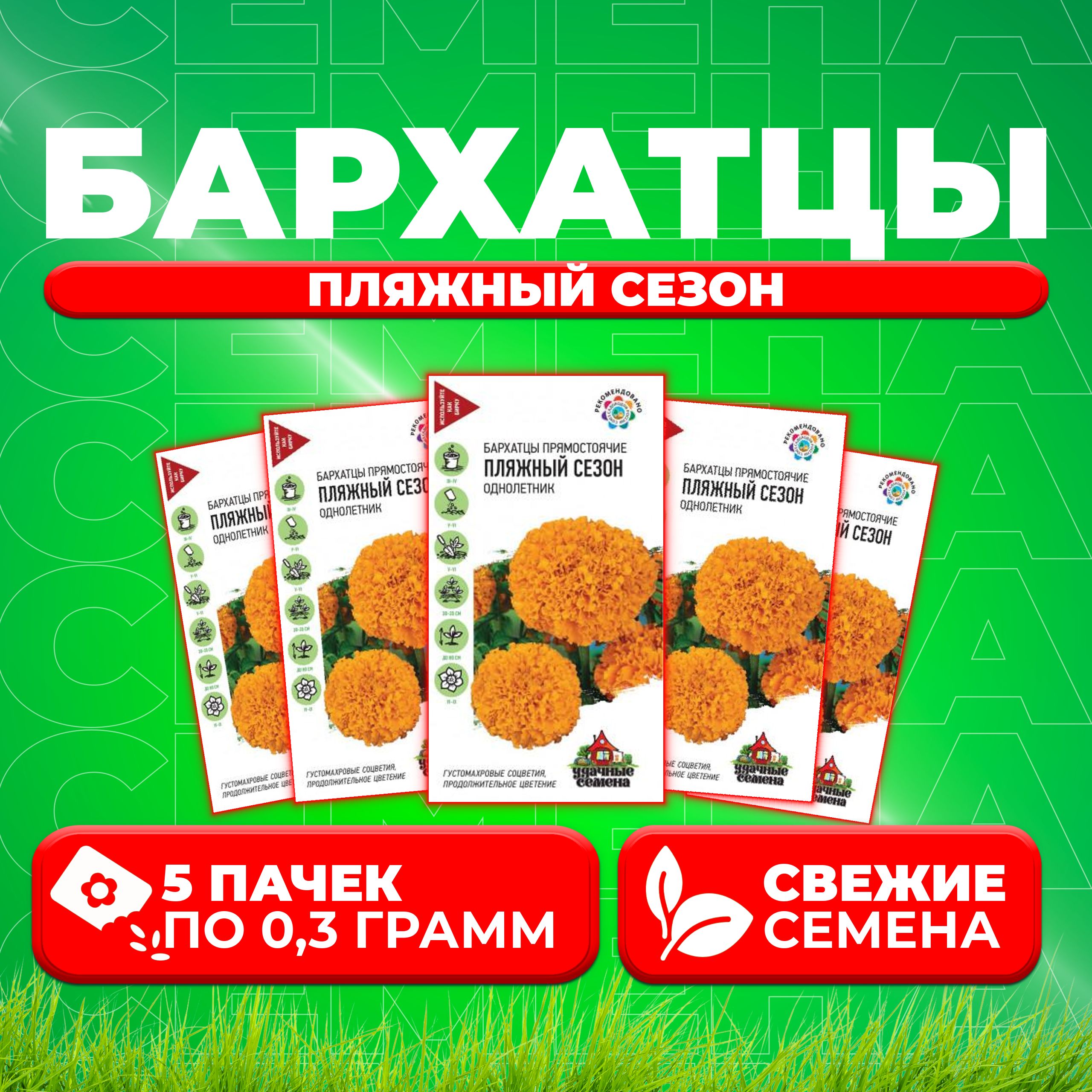 

Семена Бархатцы прямостоячие (тагетес) Пляжный сезон, 0,3г, Удачные семена (5 уп)