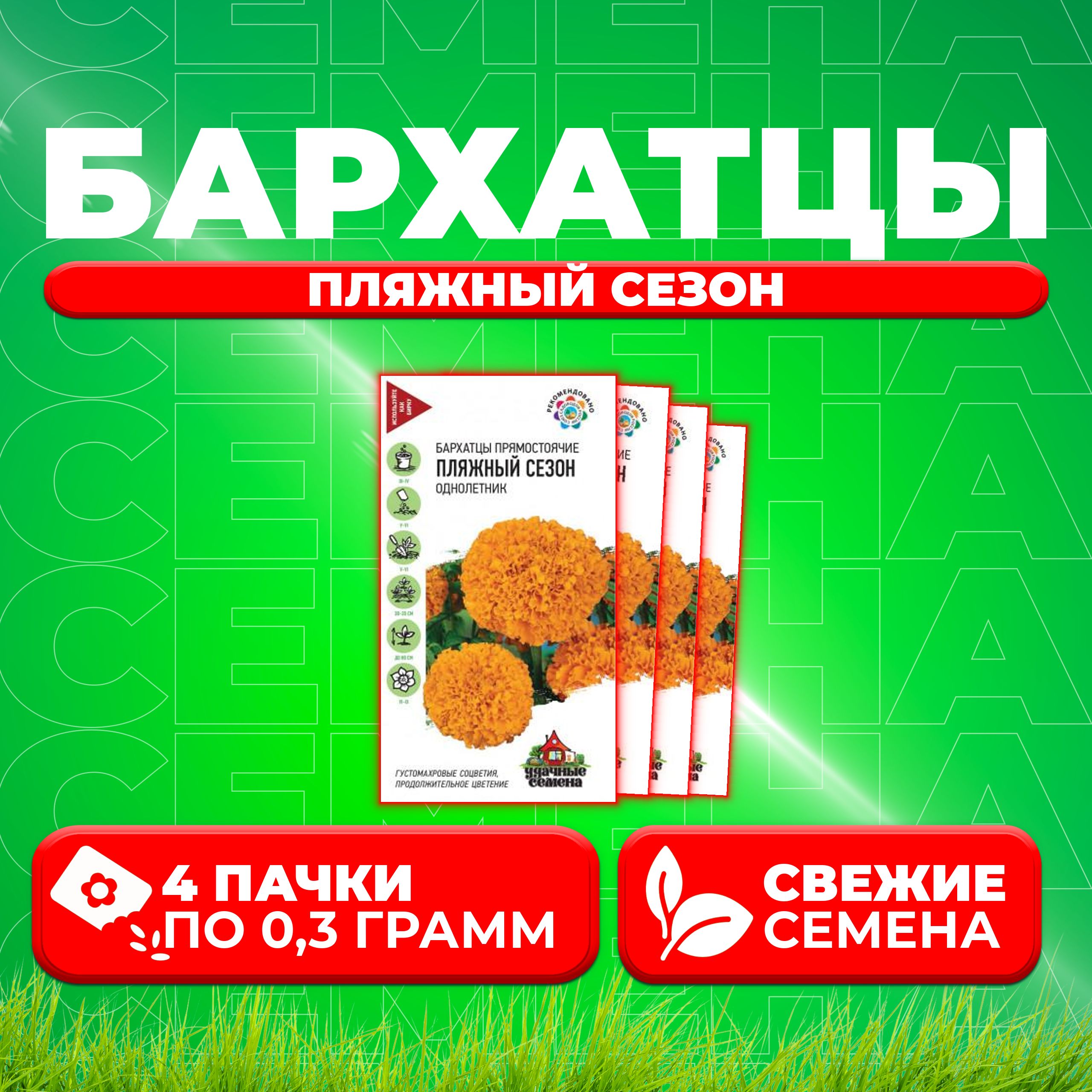 

Семена Бархатцы прямостоячие (тагетес) Пляжный сезон, 0,3г, Удачные семена (4 уп)