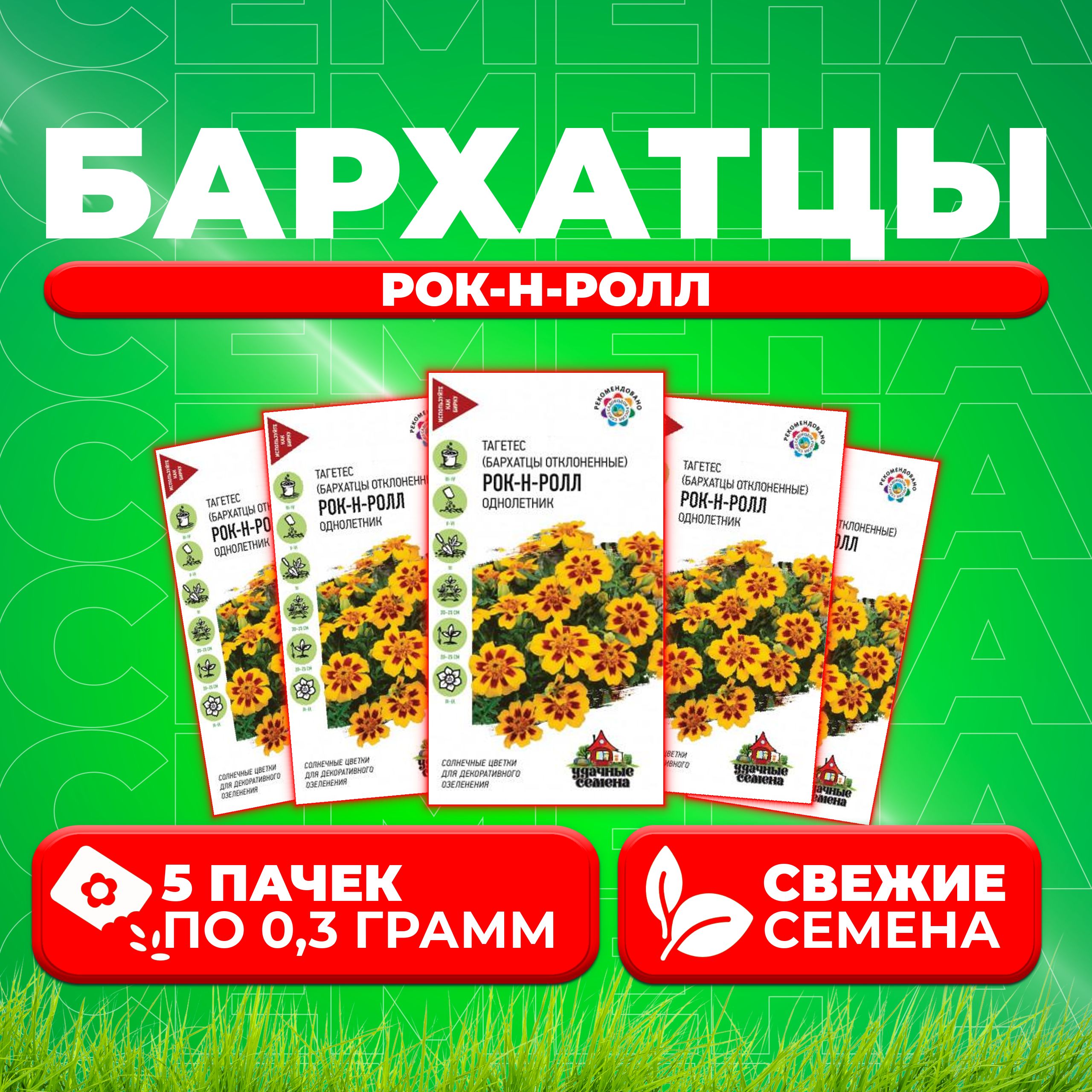 

Семена Бархатцы отклоненные (тагетес) Рок-н-ролл, 0,3г, Удачные семена (5 уп)