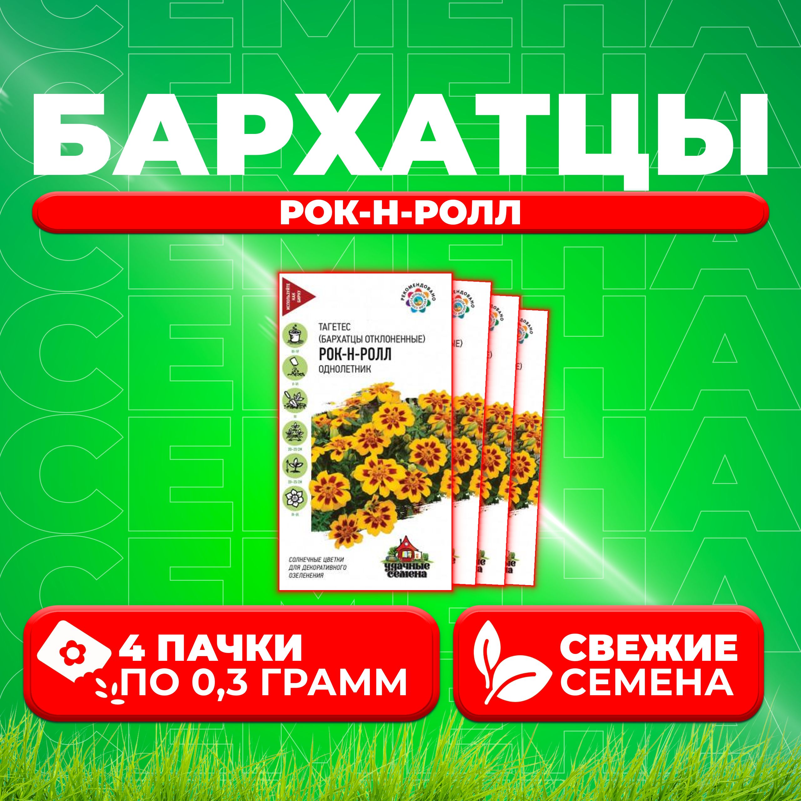 

Семена Бархатцы отклоненные (тагетес) Рок-н-ролл, 0,3г, Удачные семена (4 уп)