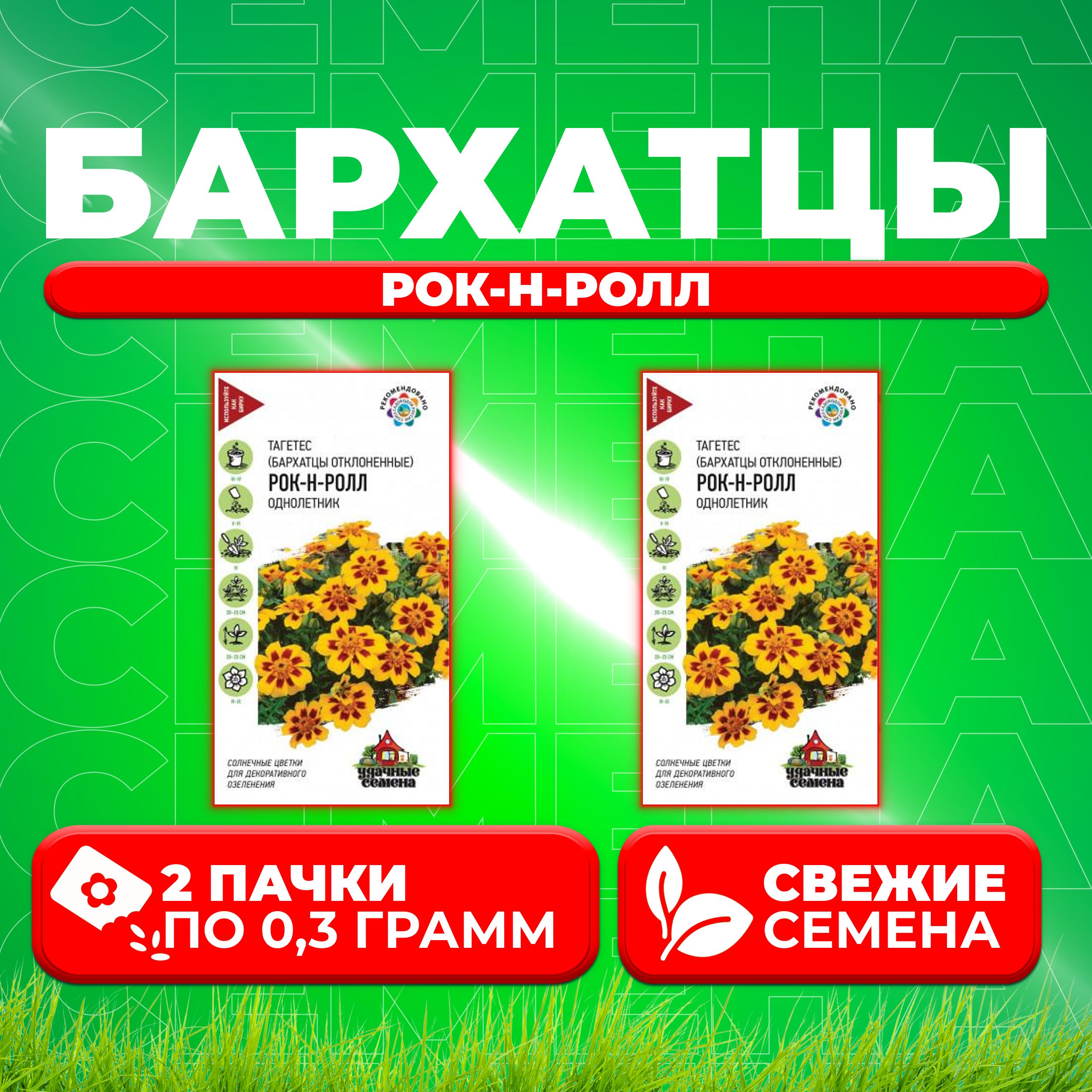 

Семена Бархатцы отклоненные (тагетес) Рок-н-ролл, 0,3г, Удачные семена (2 уп)
