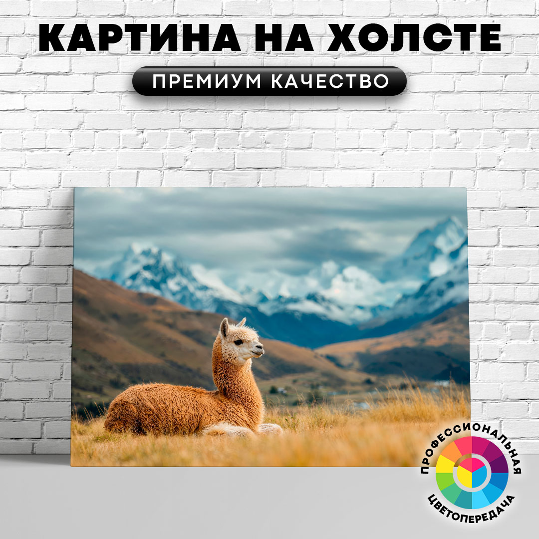 

Картина на холсте Альпака в поле 40х30 см, ЖАЛЬП