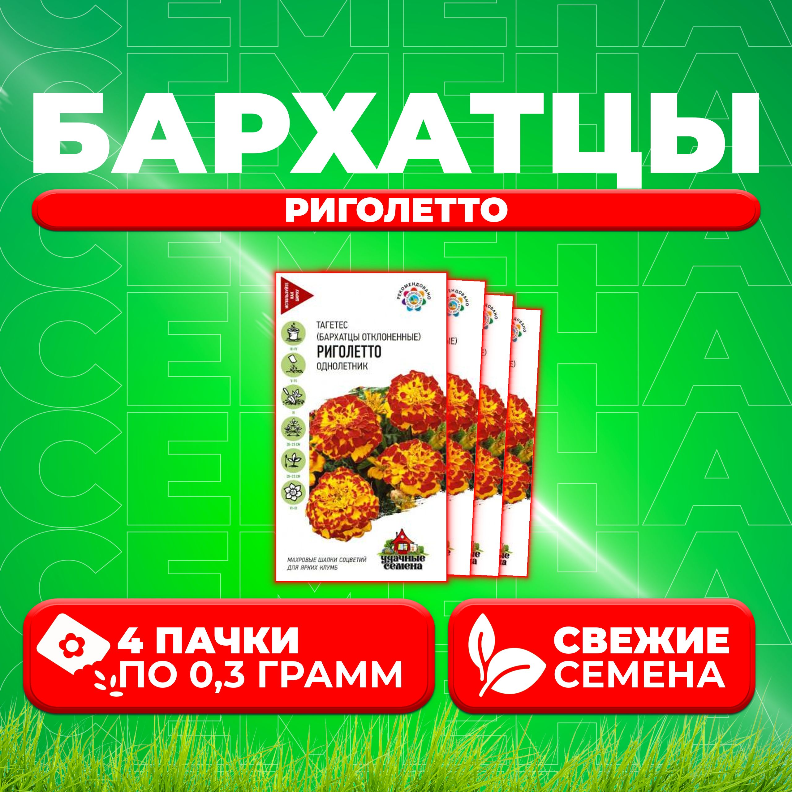 

Семена Бархатцы отклоненные (тагетес) Риголетто, 0,3г, Удачные семена (4 уп)