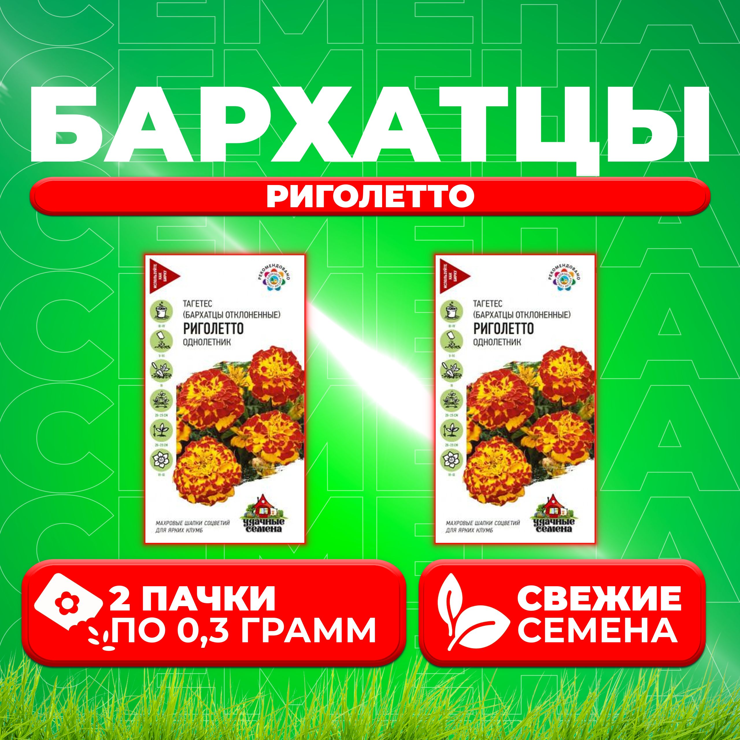 

Семена Бархатцы отклоненные (тагетес) Риголетто, 0,3г, Удачные семена (2 уп)