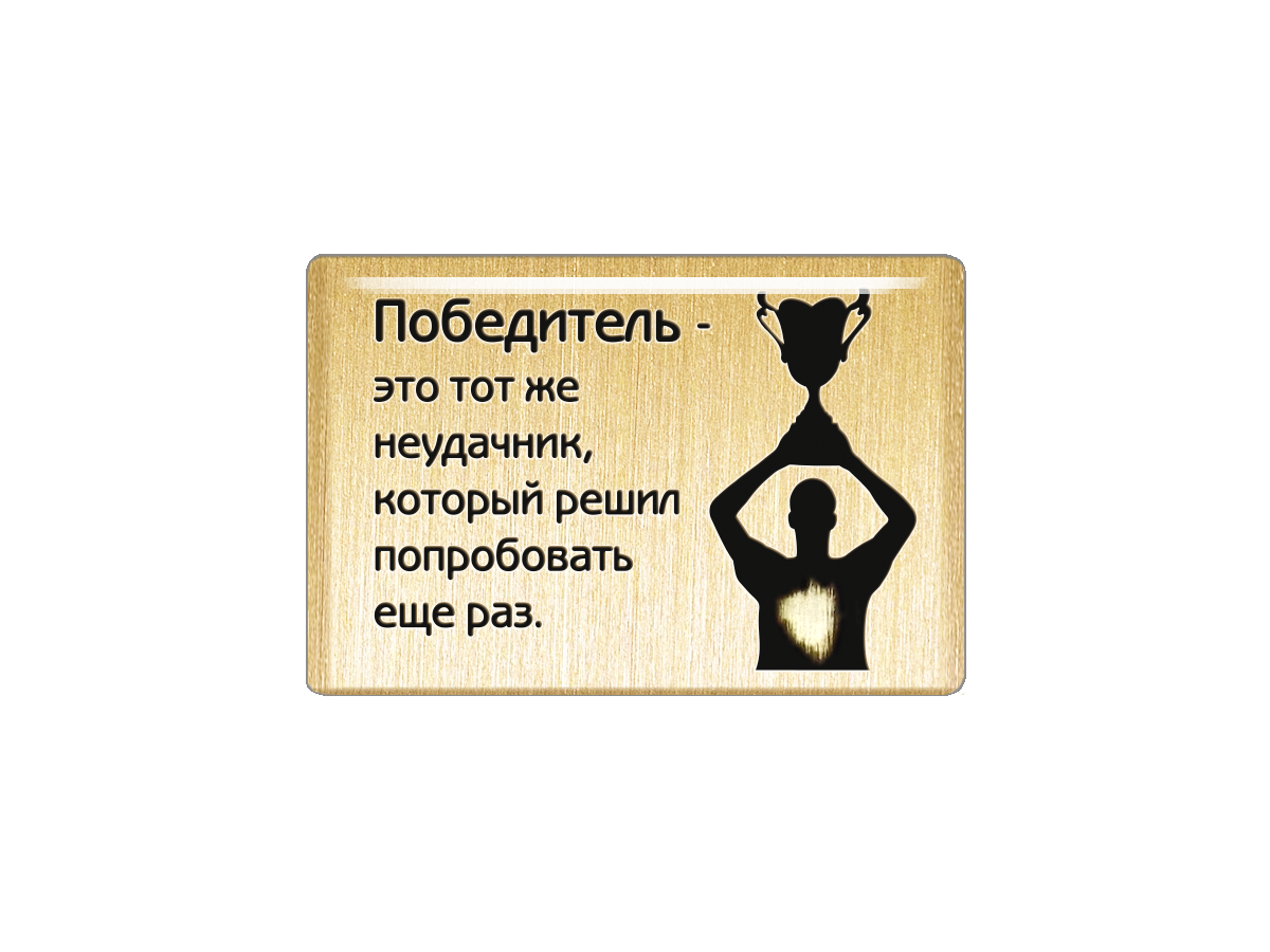 

Магнит Победитель - это тот же неудачник, который решил попробовать еще раз, Т18.265.02.00