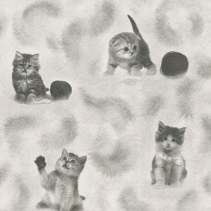 фото Бумажные обои котята 255-01, 0,53х10,05м, серый пермские обои
