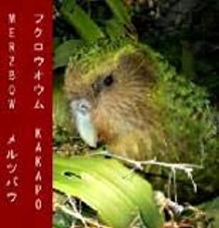 

MERZBOW: Kakapo