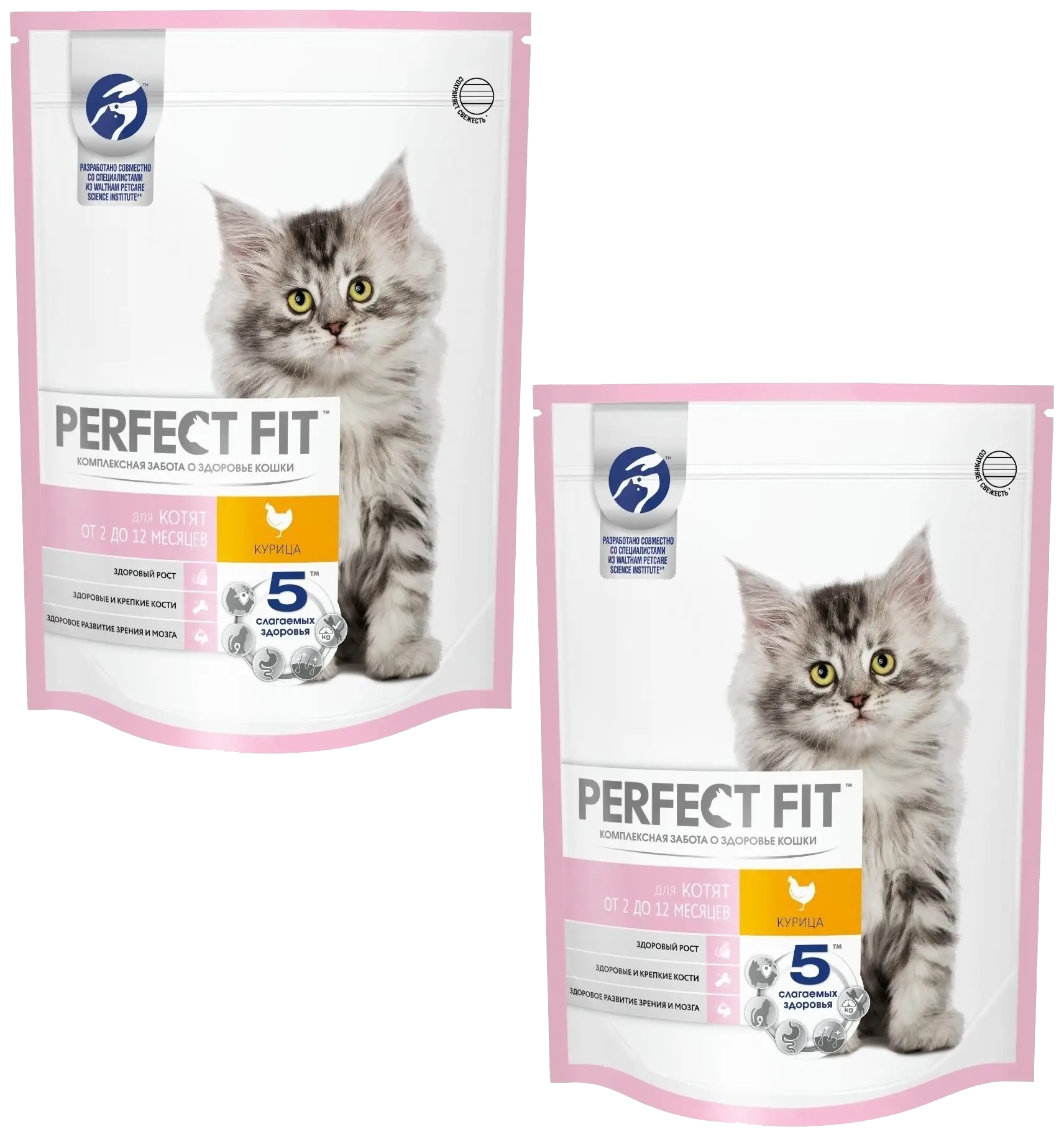 

Сухой корм для котят Perfect Fit Junior с курицей, 2 шт по 0,19 кг, PERFECT FIT JUNIOR для котят с курицей (0,19 + 0,19 кг)