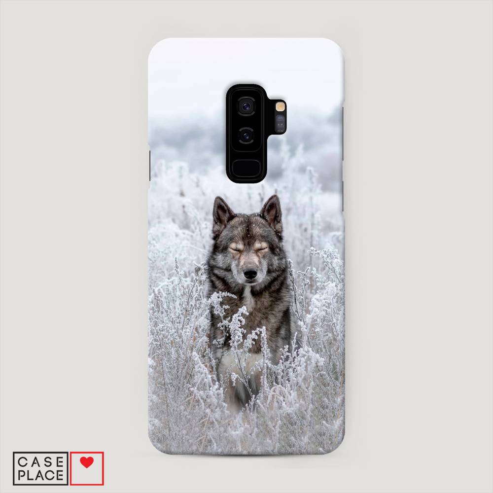 

Чехол Awog "Волк в поле" для Samsung Galaxy S9 +, 25820-1