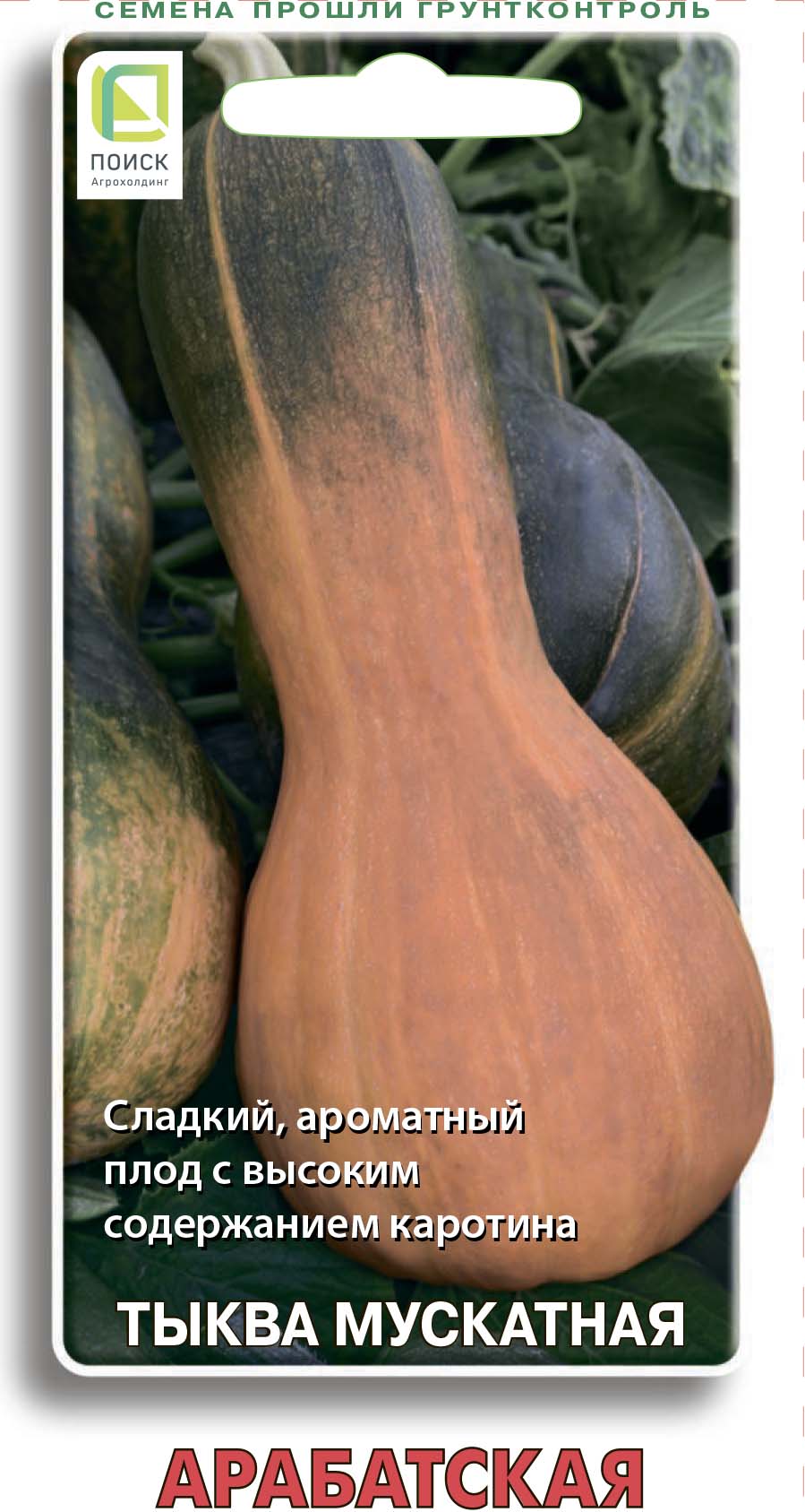 

Семена тыква Арабатская Поиск 65161, Семена Тыква мускатная Арабатская 10 шт.