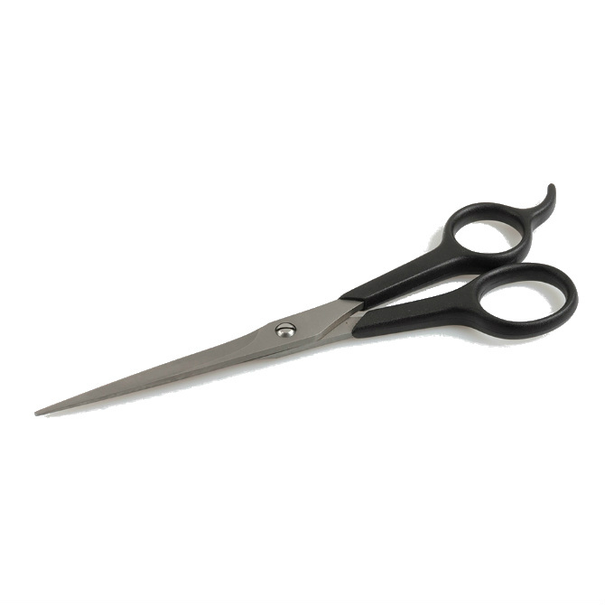 Ножницы парикмахерские Zinger qs-654-wti 10654 6,25