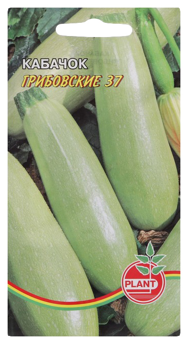 

Семена Plant Кабачок Грибовский 8 шт