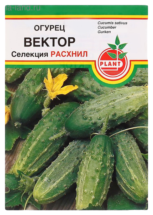 

Семена огурец Plant Вектор 1 уп.