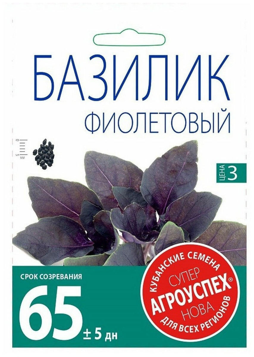 Базилик фиолетовый семена. Базилик Ереванский изумруд 0,3г г. Базилик фиолетовый. Семена базилик фиолетовый. Семена базилика фиолетового.