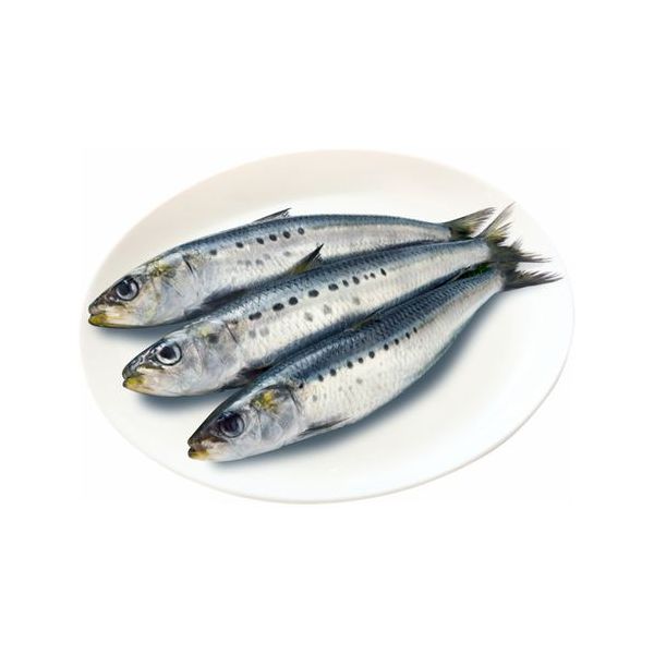 

Сардина Elite Fish охлажденная +-1 кг