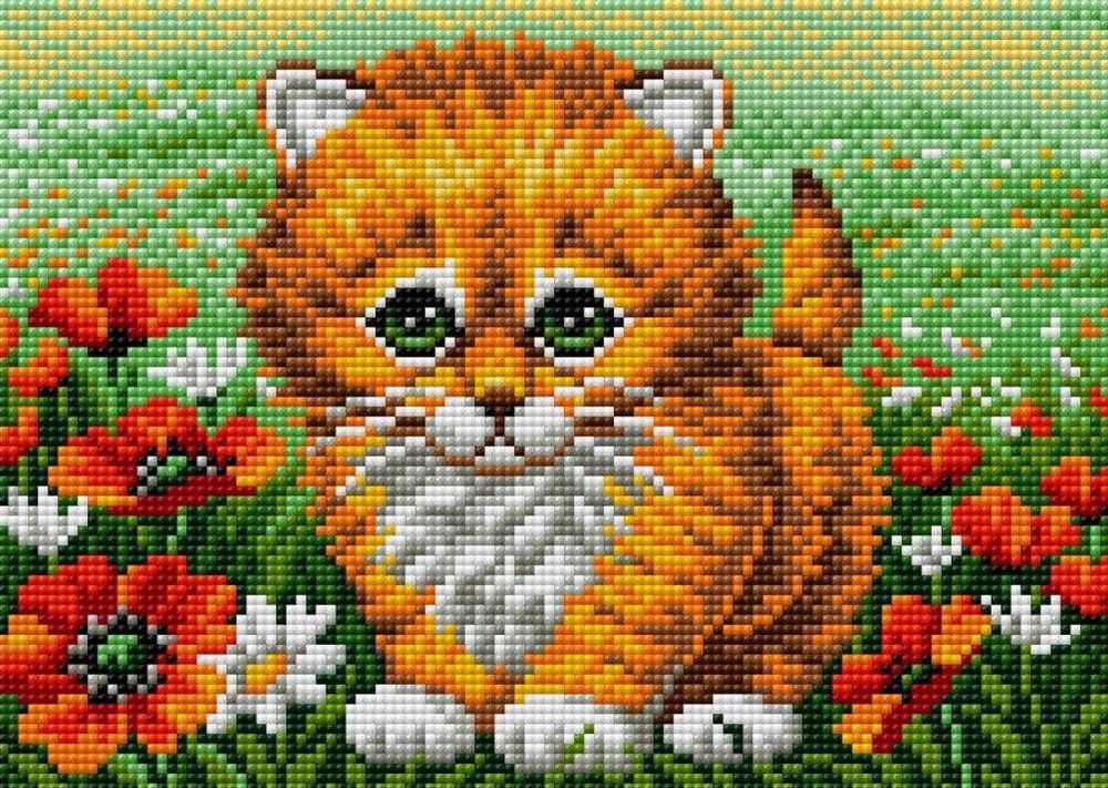 

Алмазная вышивка «Рыжий котенок»