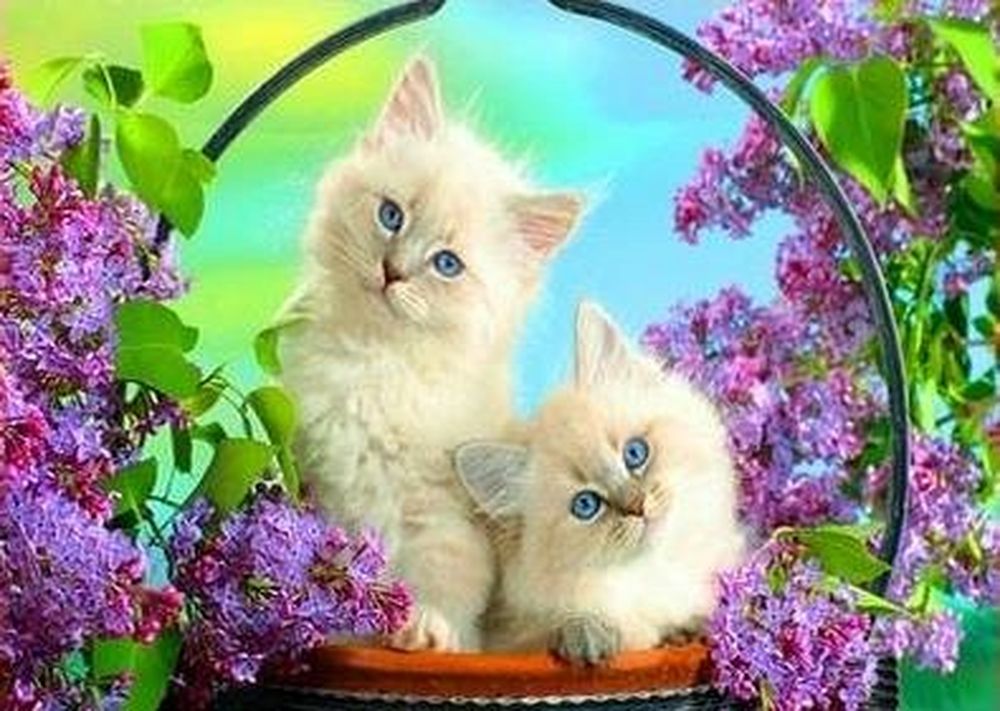 

Рисунок на ткани «Коты в сирени»