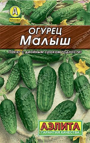 

Семена огурец Малыш Аэлита Огурец Малыш 1 уп., ОгурецАэлита_1_зеленый_Малыш