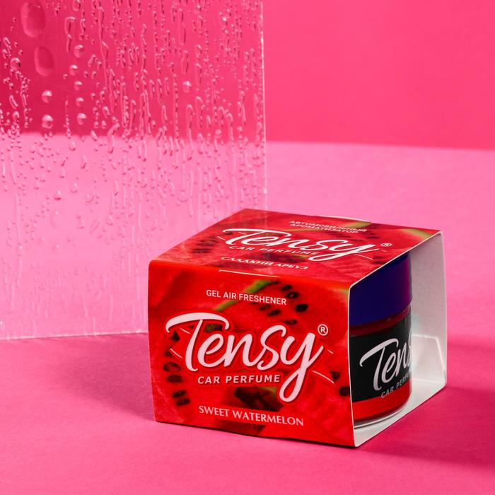 

Ароматизатор в машину Tensy TZ-153 Сладкий арбуз