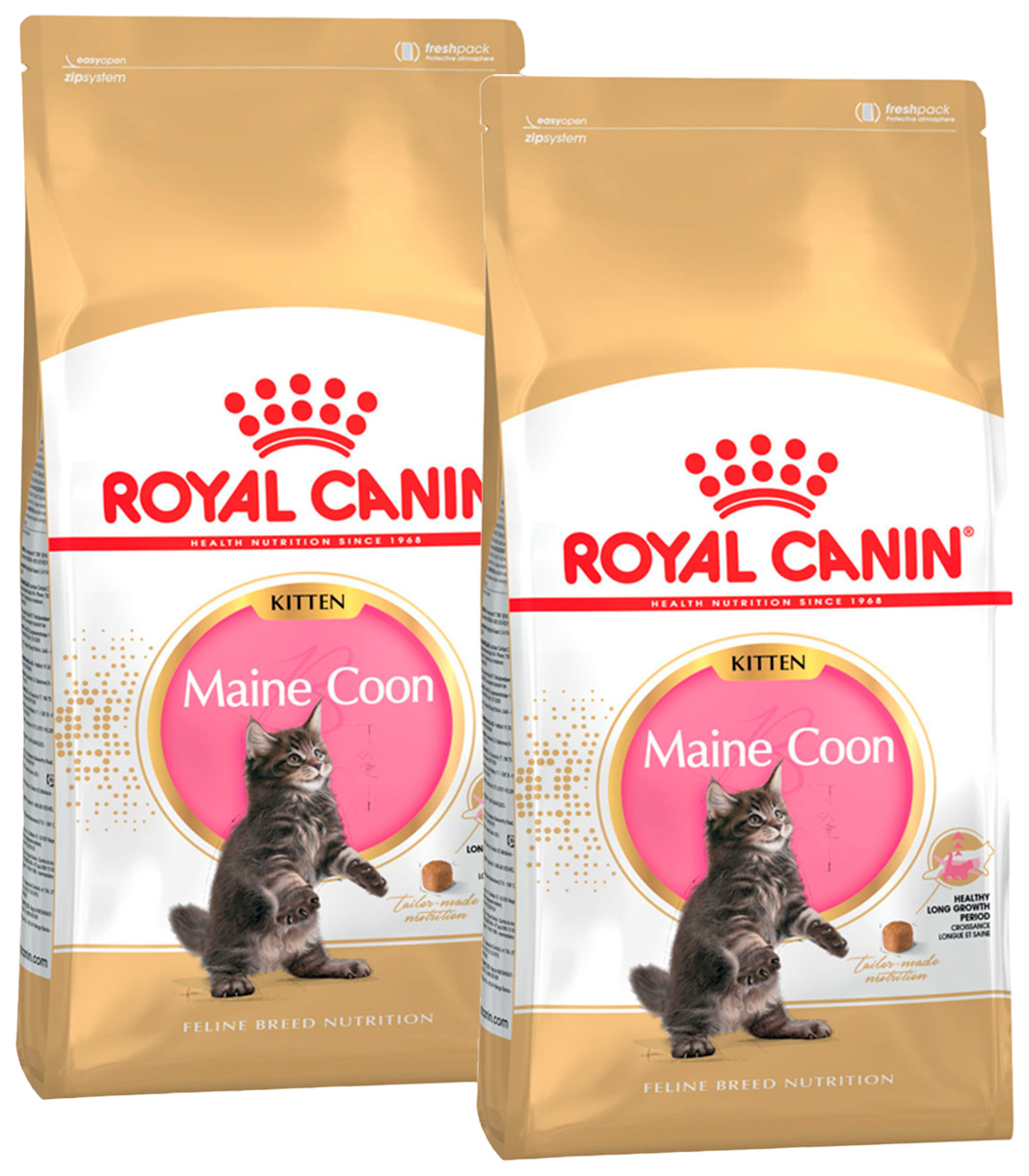 фото Сухой корм для котят мэйн-кун royal canin maine coon kitten 36, 2 шт по 2 кг