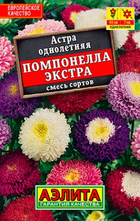 

Семена астра Помпонелла Экстра Аэлита Астра Помпонелла Экстра, смесь сортов 1 уп., АстраАэлита_Помпонелла Экстра
