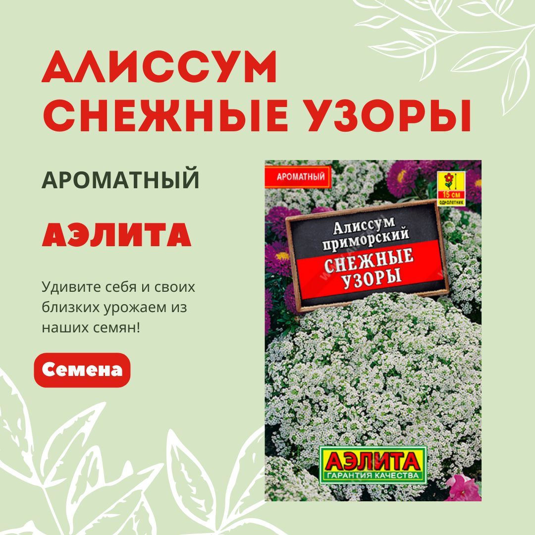 

Семена алиссум Снежные узоры Аэлита 1 уп., Алиссум_белый_зеленый