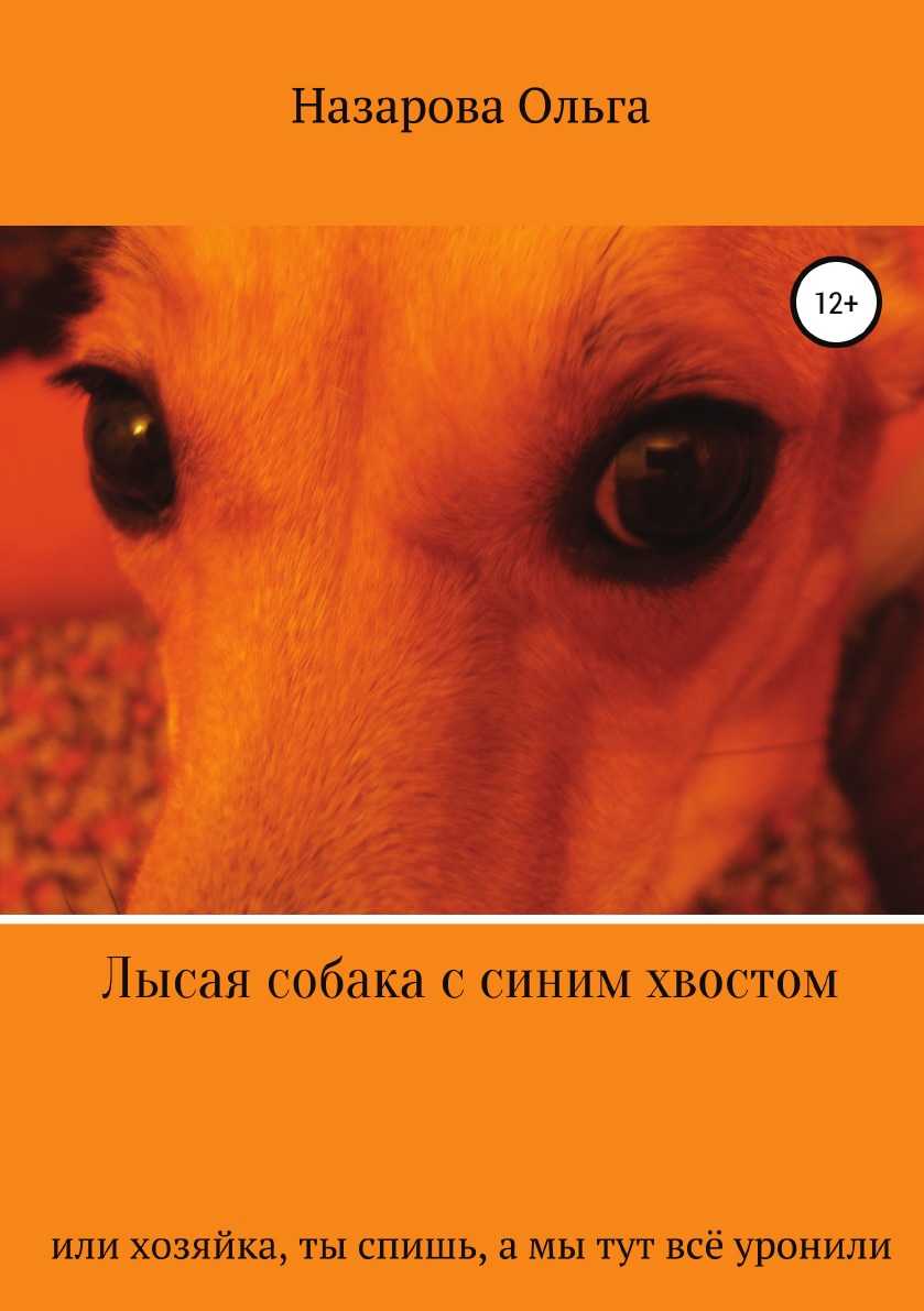 

Лысая собака с синим хвостом, или хозяйка, ты спишь, а мы тут всё уронили!