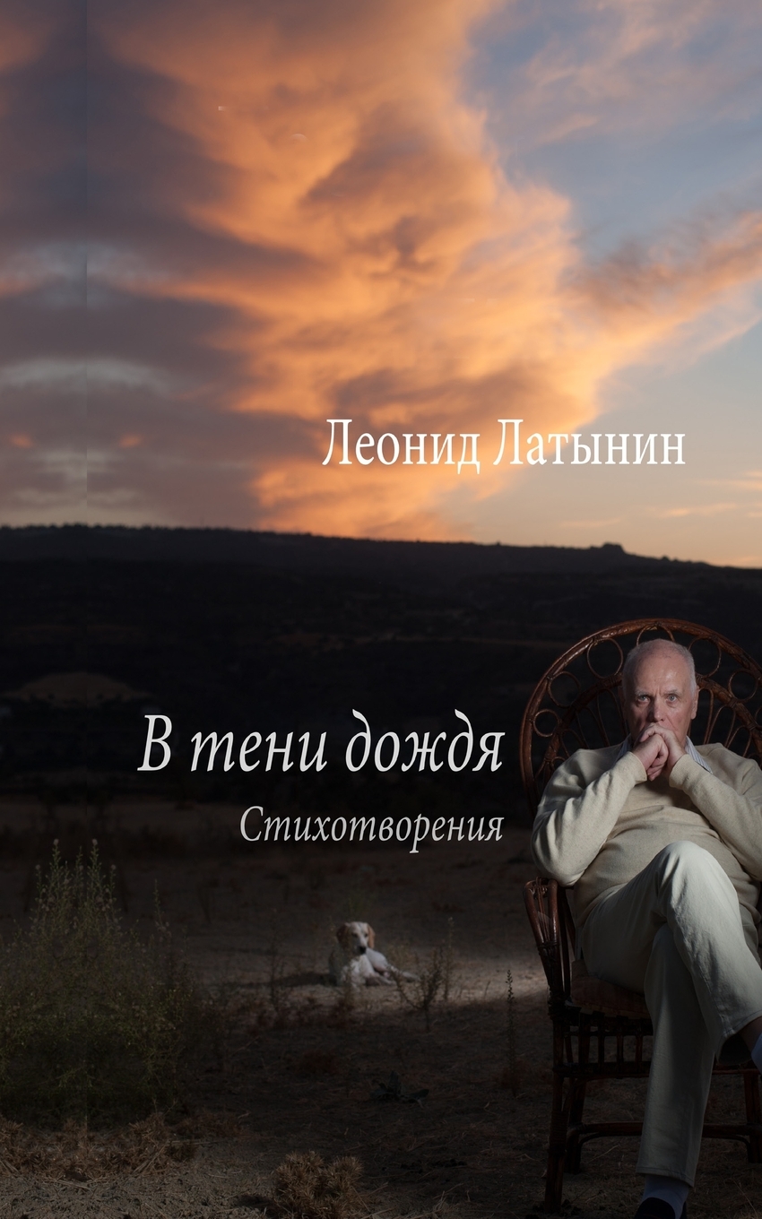 

Книга В ТЕНИ ДОЖДЯ