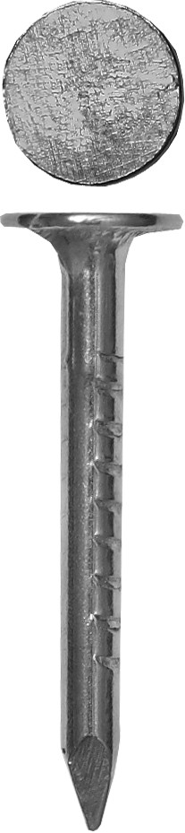 фото Гвозди с большой потайной головкой зубр цинк 30 х 3.0 мм 1 кг. ( 480 шт.) (305091-30-030)