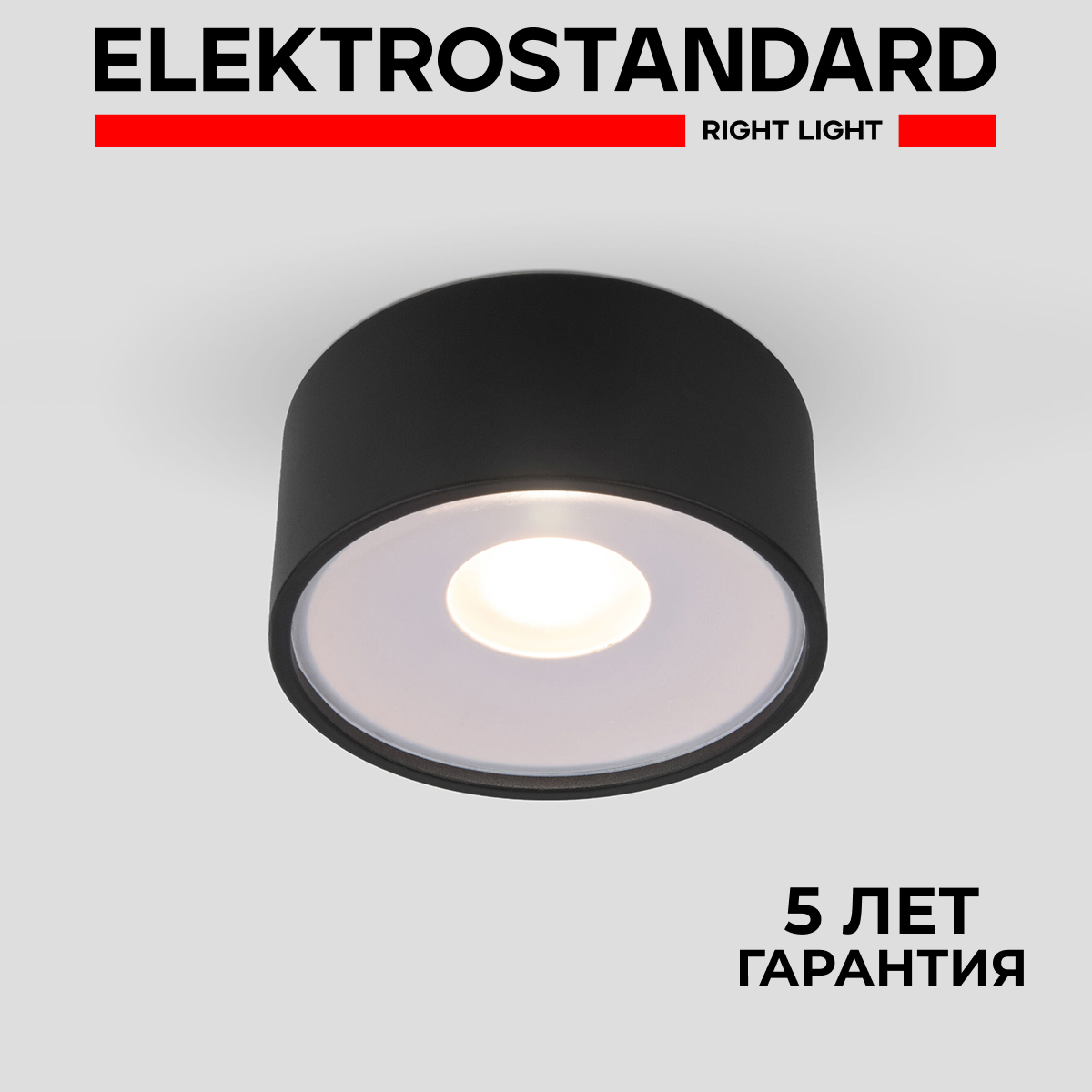 

Влагозащищенный точечный светильник Elektrostandard Light LED 35141/H 12W 4000К черный