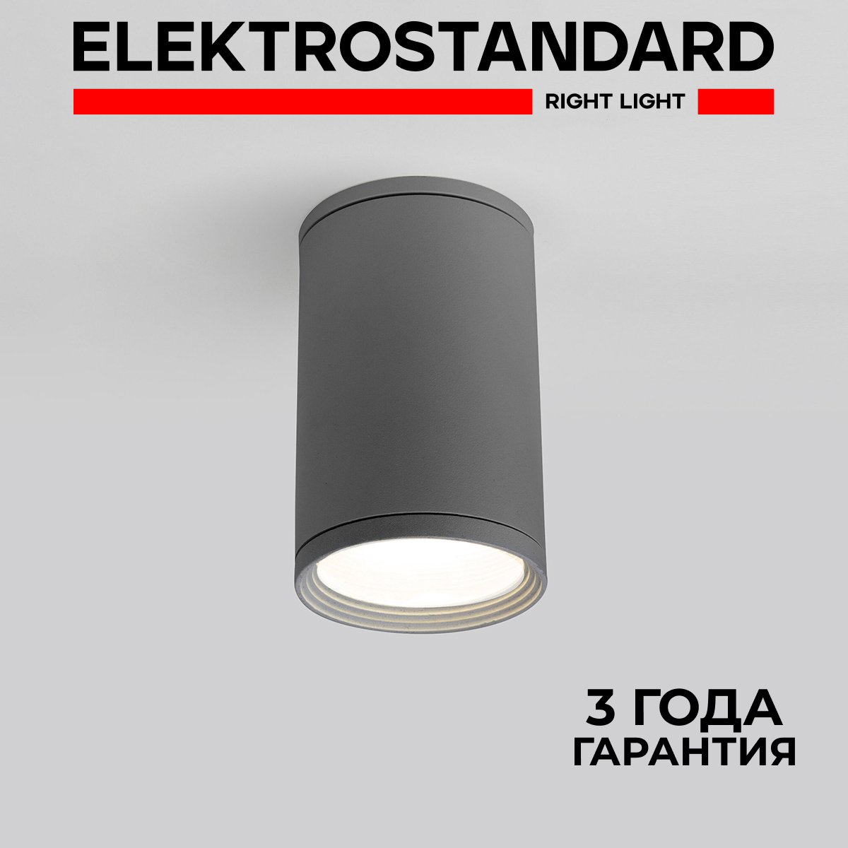

Уличный потолочный светильник Elektrostandard Light 2101 35128/H GU10 IP65 серый, Light