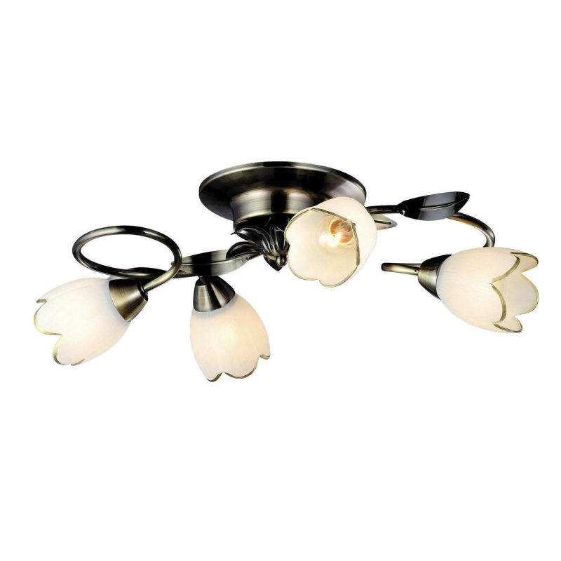 

Потолочная люстра Arte Lamp 4 A6061PL-4AB, Perce