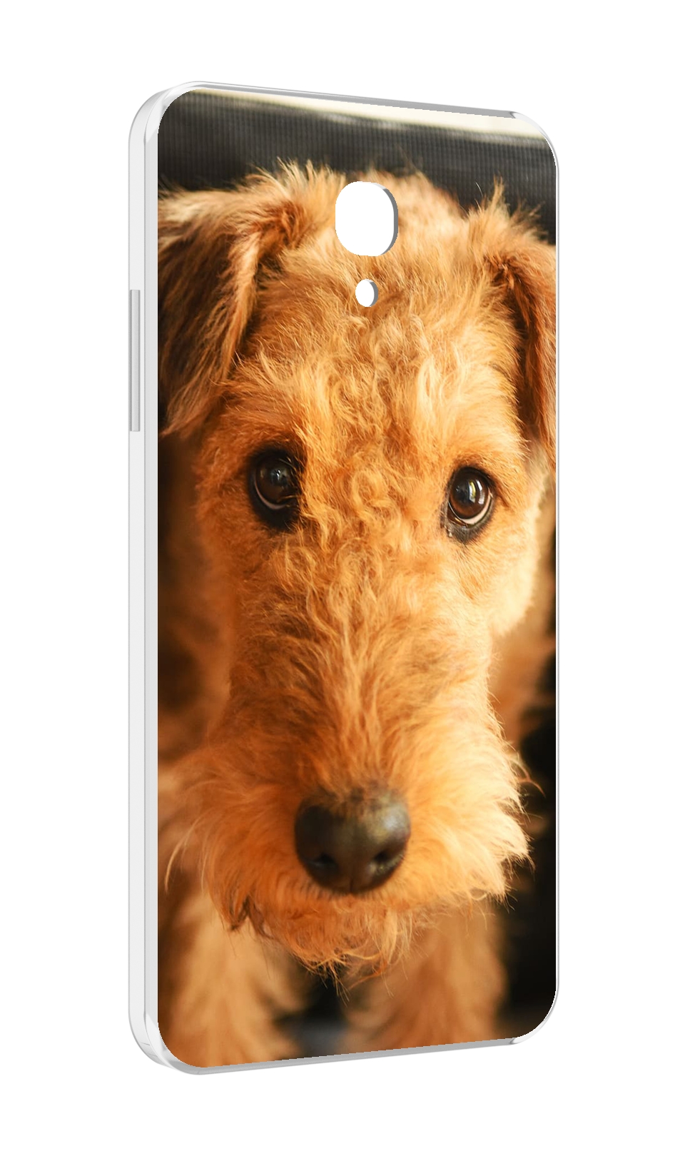 

Чехол MyPads эрдельтерьер для Lenovo Vibe P2 5.5 (P2a42), Прозрачный, Tocco