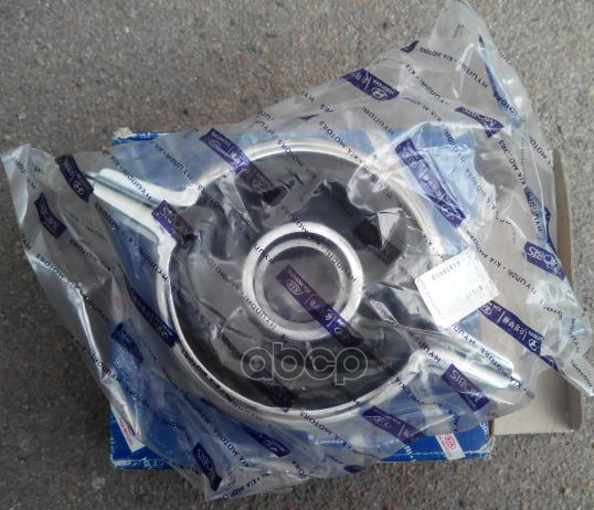 

Подшипник Подвесной Hyundai/Kia 495751u000 Ix55 D60mm Hyundai-KIA арт. 495751U000