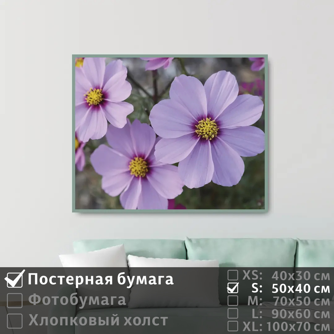 

Постер на стену ПолиЦентр Летние сиреневые цветы 50х40 см, ЛетниеСиреневыеЦветы