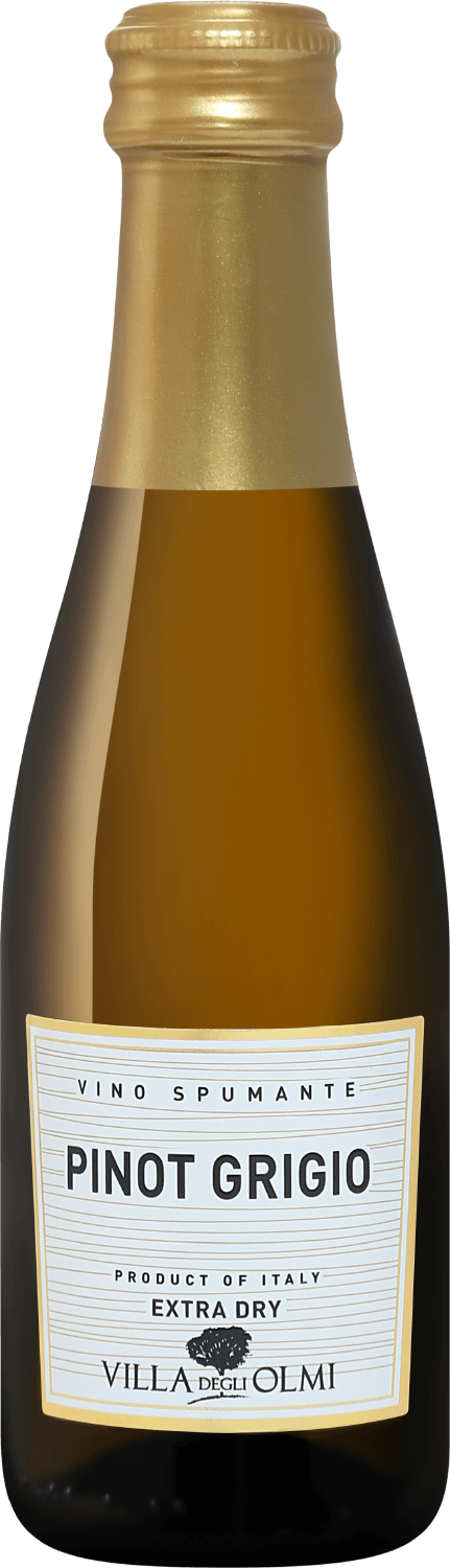 

Игристое вино Pinot Grigio Spumante Extra Dry Villa degli Olmi