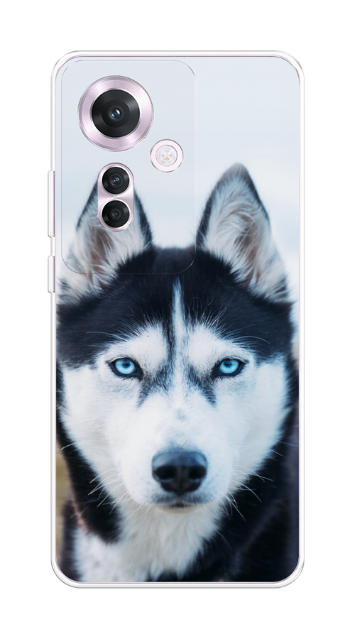 

Чехол на Oppo Reno 11F "Хаски 2", Синий;белый, 2516650-1