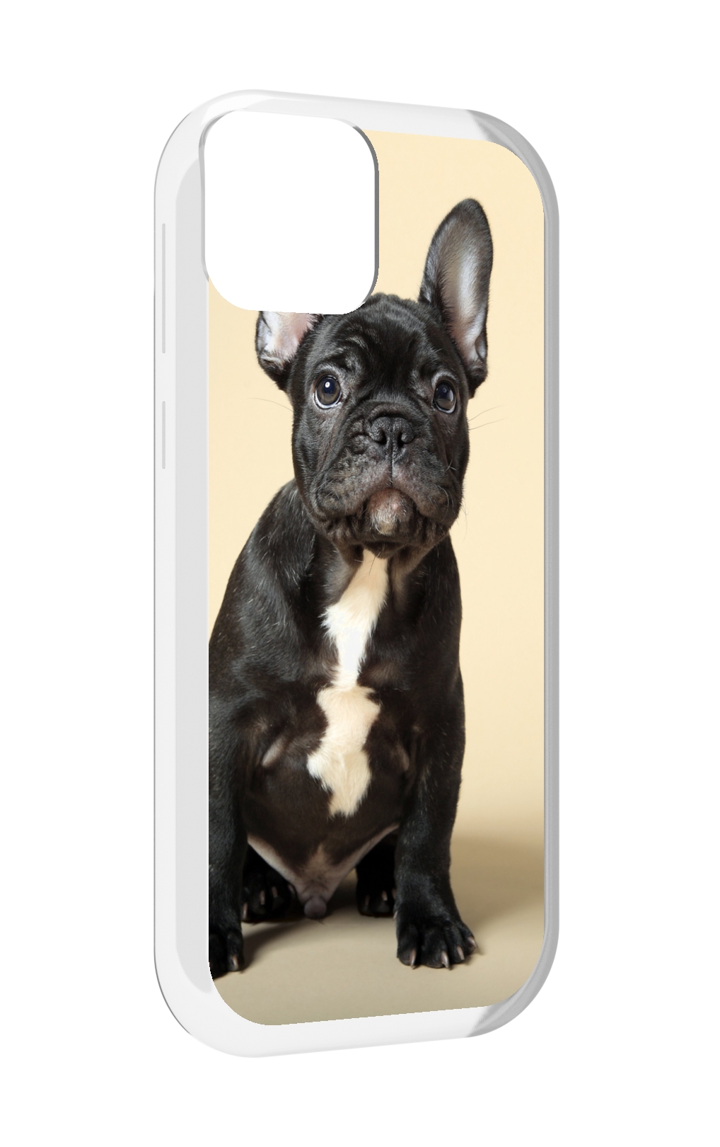 

Чехол MyPads французскии бульдог для UleFone Note 6 / Note 6T / Note 6P, Прозрачный, Tocco