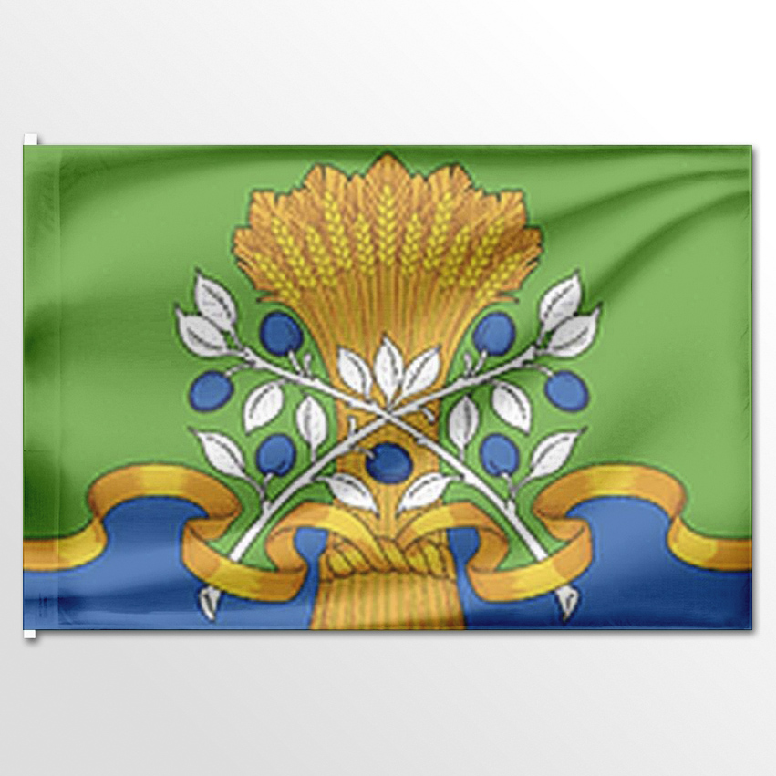 

Флаг ЦТП ФЕНИКС Краснослободского района 135x90 см, 7407-135x90