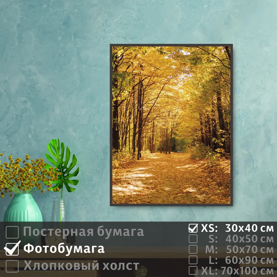 

Постер на фотобумаге ПолиЦентр Тропинка в осеннем лесу 30х40 см, ТропинкаВОсеннемЛесу