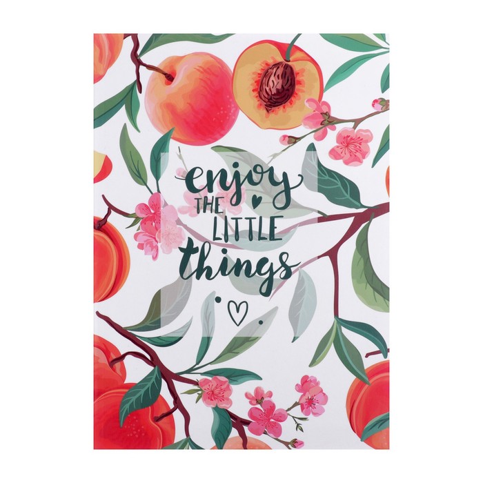 Миленд Ежедневник полезных привычек А5, 96 листов Персики , интегральная обложка