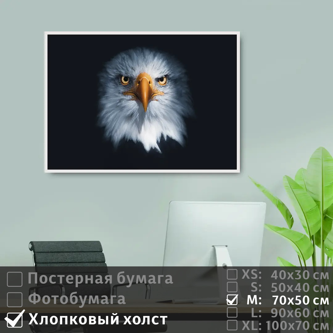 

Постер на холсте ПолиЦентр Хищная сова с оранжевым клювом 70х50 см, ХищнаяСоваСОранжевымКлювом