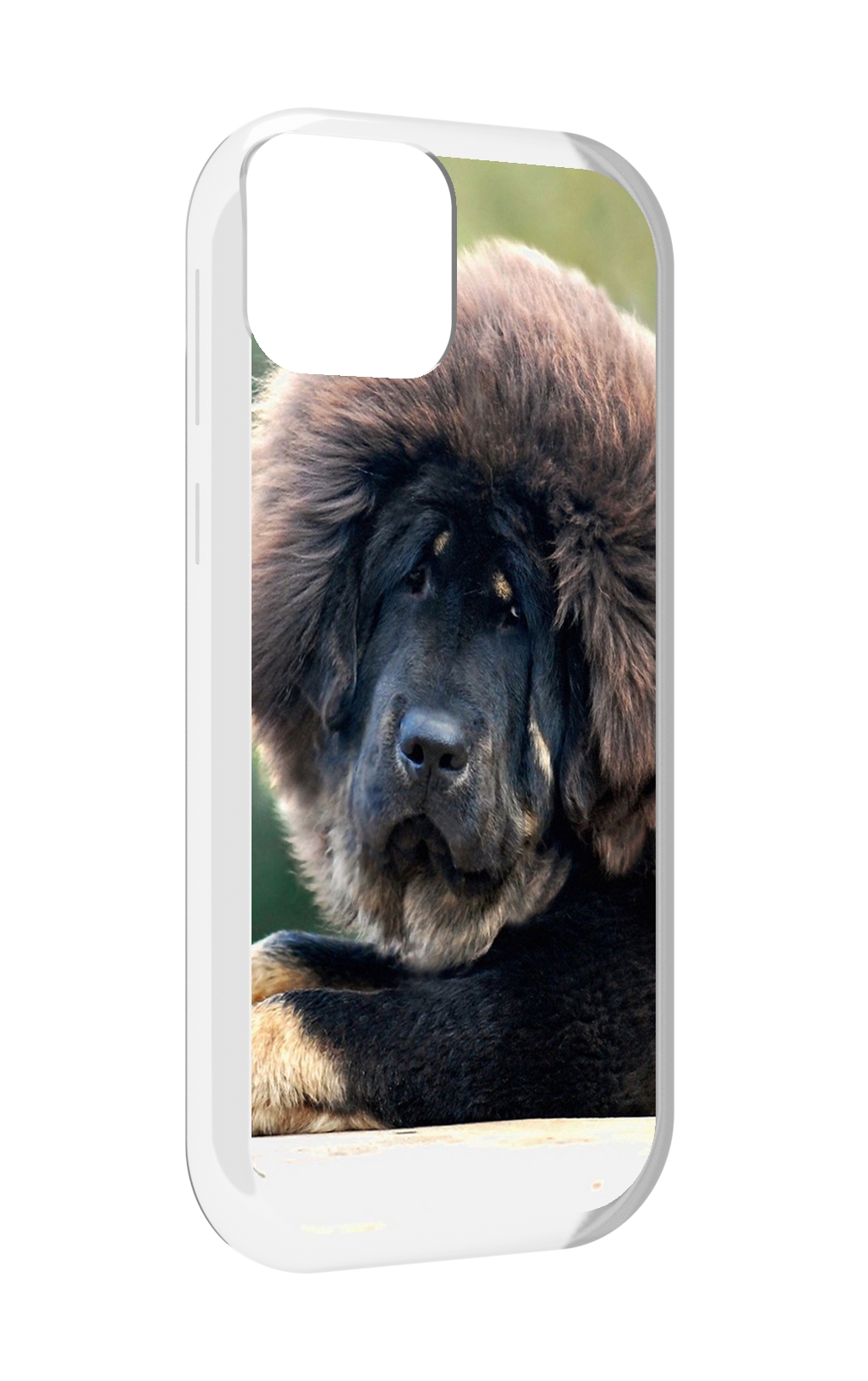 

Чехол MyPads тибетскии мастиф для UleFone Note 6 / Note 6T / Note 6P, Прозрачный, Tocco