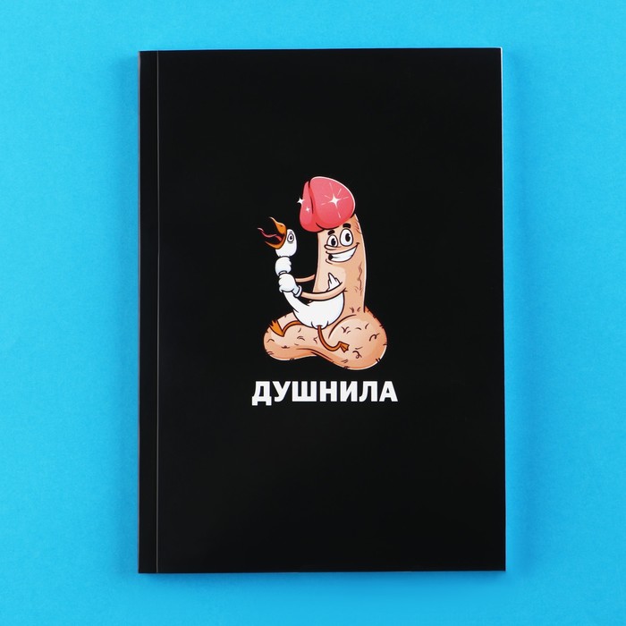 

Ежедневник А5, 80 л "Душнила" 18+