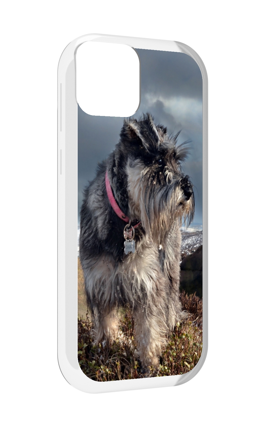 

Чехол MyPads ризеншнауцер 2 для UleFone Note 6 / Note 6T / Note 6P, Прозрачный, Tocco