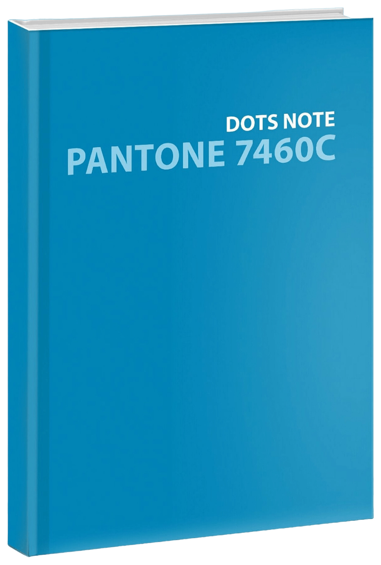 

Евротетрадь А5+ в точку 96 листов в ассортименте