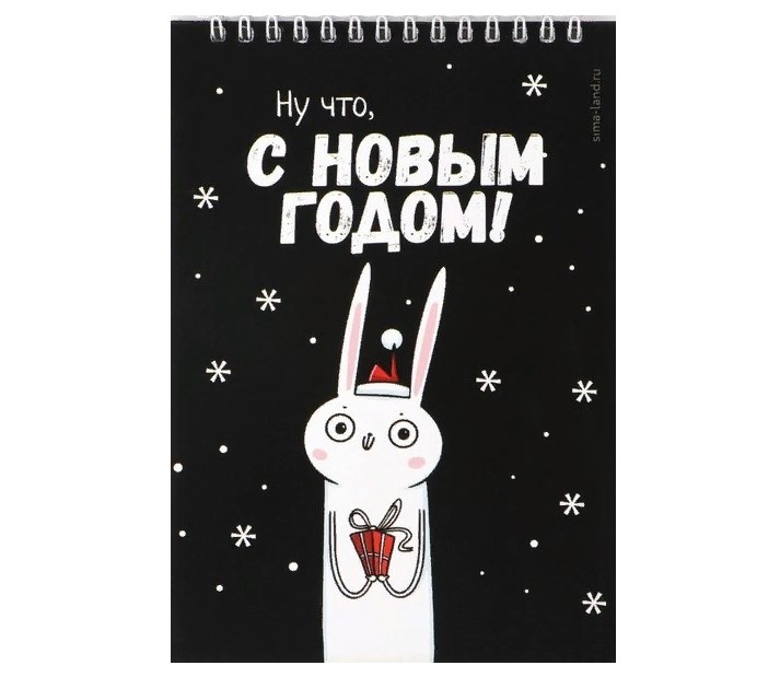 

Блокнот на гребне «Ну что, с Новым годом!», А5, 40 листов, мягкая обложка
