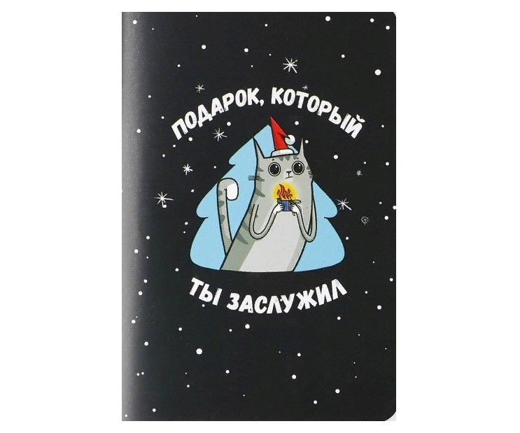 

Блокнот «Подарок, который ты заслужил», А5, 48 листов софт тач